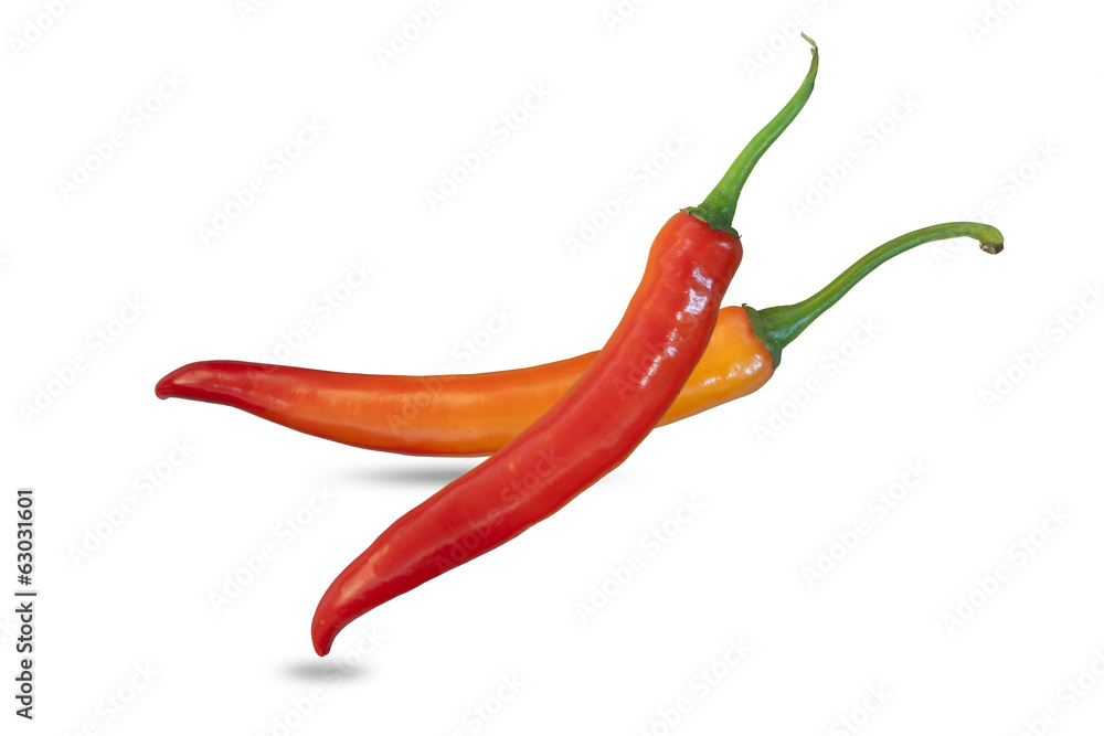 Two Chili pepper isolated on a white background