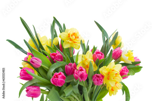 bunch  of pink tulips and yellow daffodils