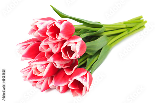 Fototapeta Naklejka Na Ścianę i Meble -  Red tulips