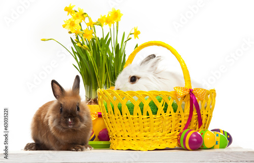 Two little rabbits among Easter eggs in basket