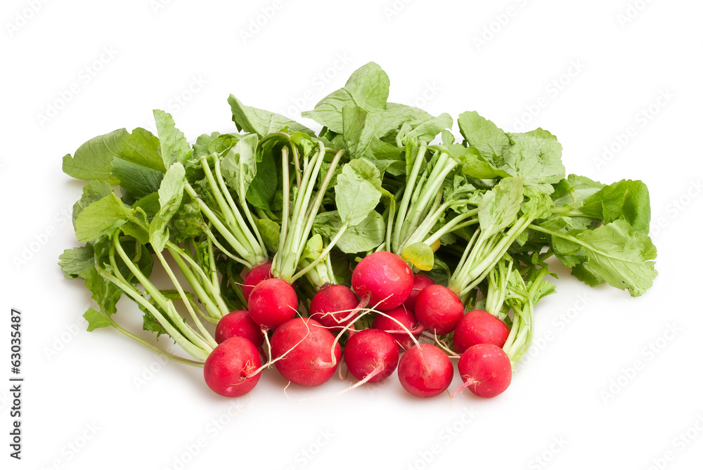 radish isolated radish isolated