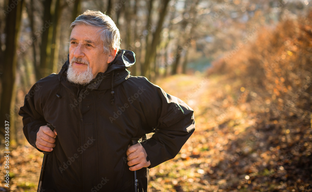 Senior man nordic walking, enjoying the outdoors Senior man nordic walking, enjoying the outdoors