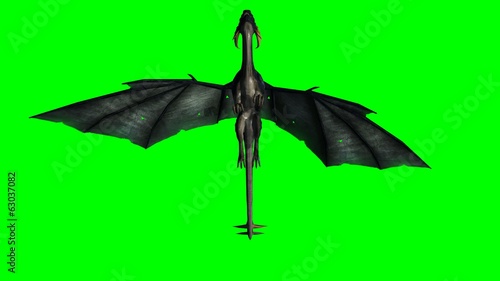 dragon in flight - green screen