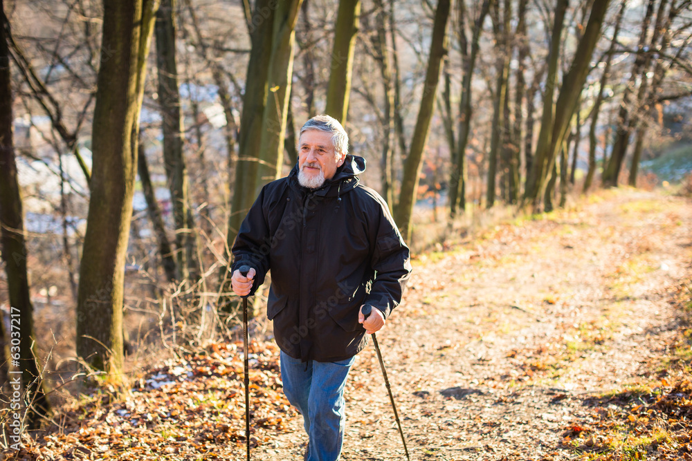 Senior man nordic walking, enjoying the outdoors Senior man nordic walking, enjoying the outdoors