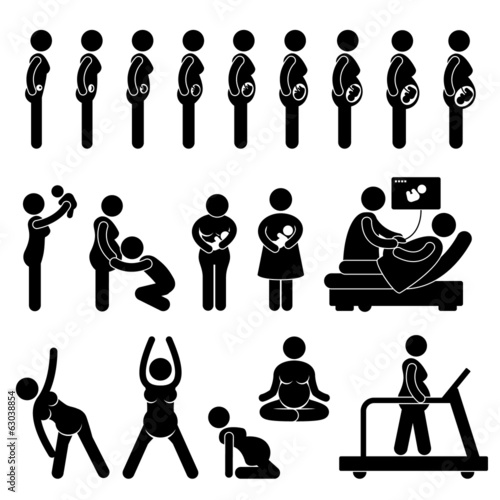 Pregnant Pregnancy Stages Process Prenatal Development