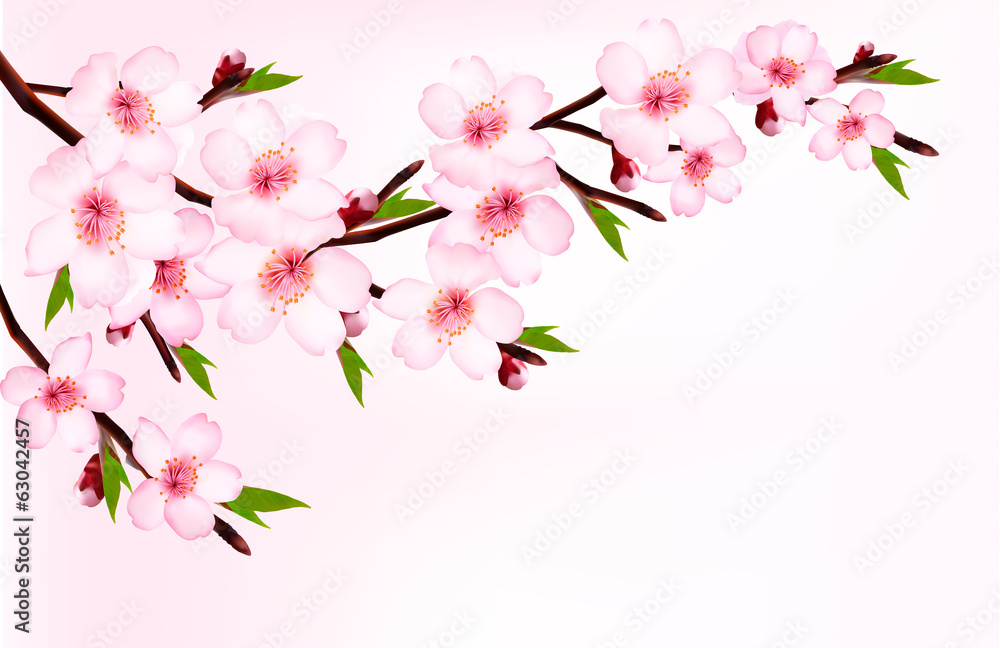 Spring background of a blossoming tree branch with spring flower