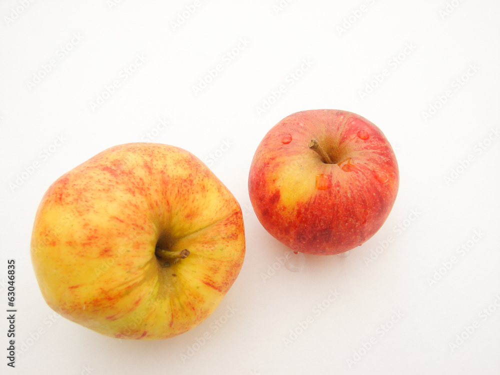 pomme fruit