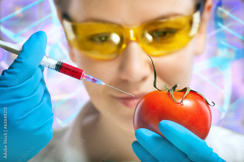 genetic modification genetic modification