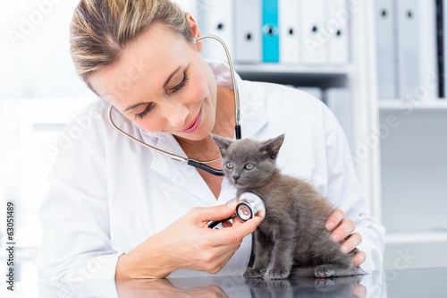 Fototapeta Naklejka Na Ścianę i Meble -  Vet examining kitten with stethoscope