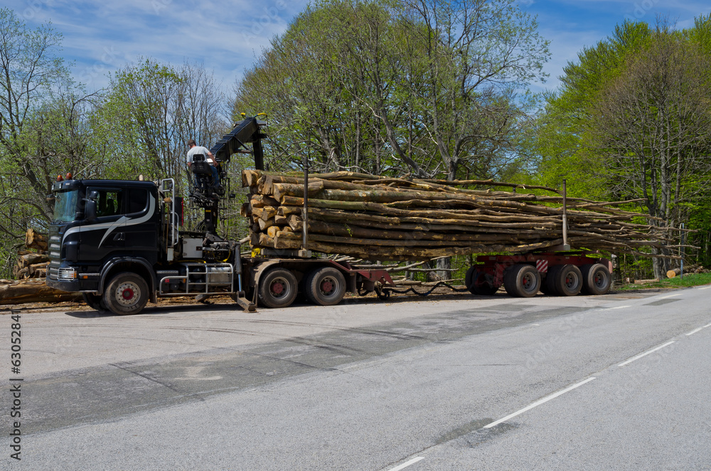 Fototapeta premium Camion transport bois