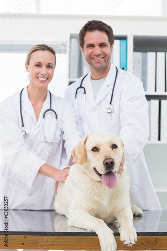 Confident vets examining dog