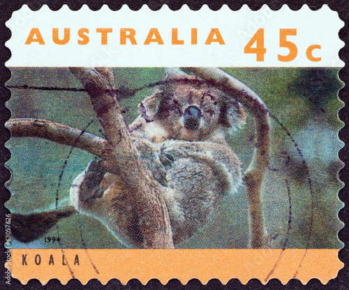 Koala (Australia 1994)