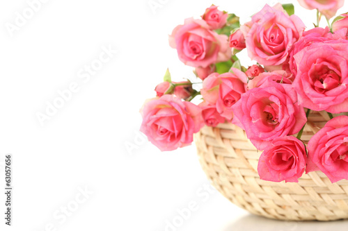 Beautiful small pink roses, isolated on white