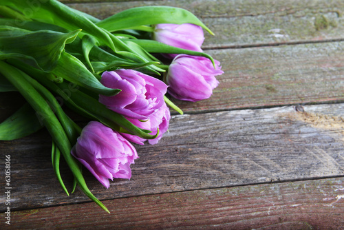 pink tulips