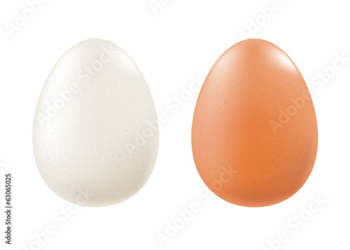 Set of chicken eggs - white and brown.