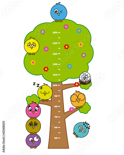 Bumper children meter wall. Birds