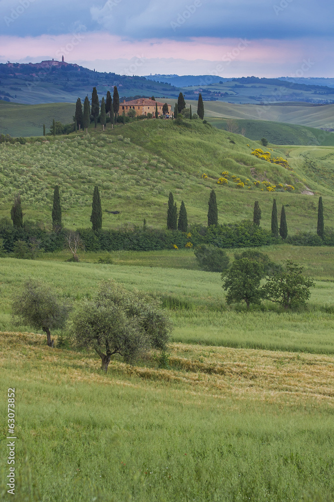Obraz premium Tuscany (Italy)