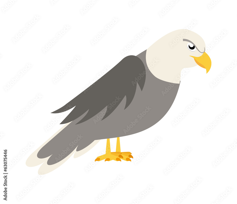 Obraz premium Eagle design