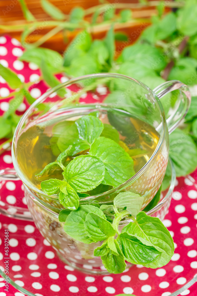 Mint tea with fresh mint leaves