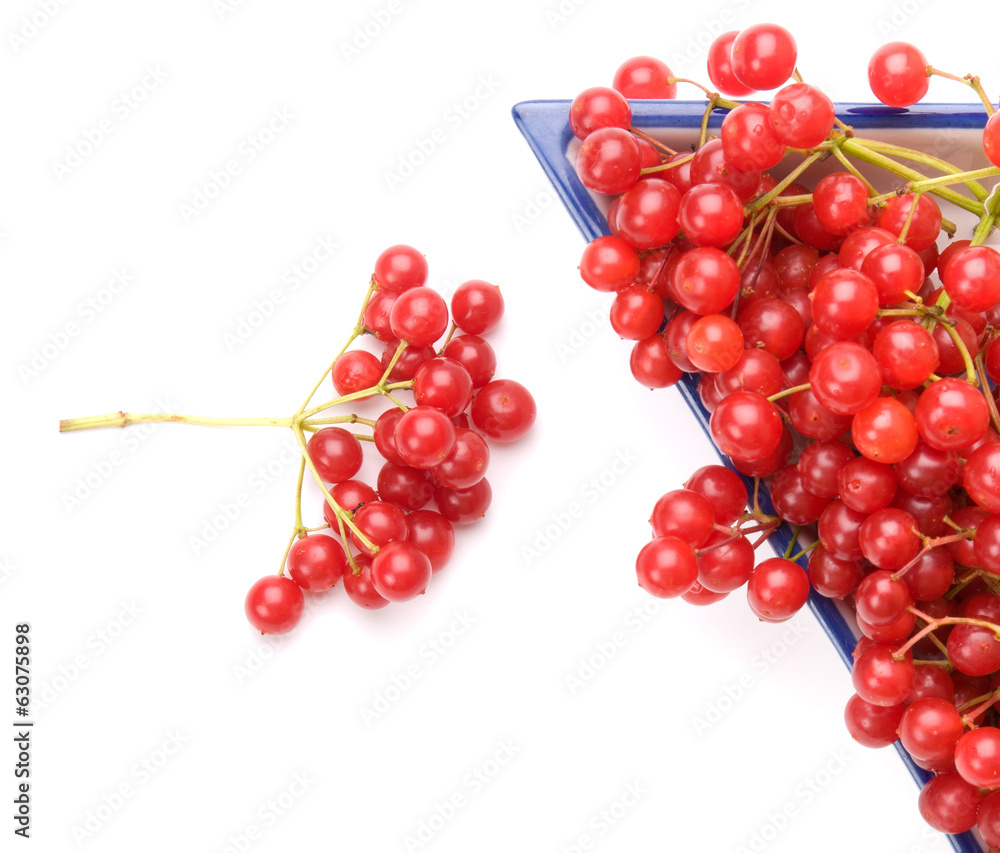 Fresh cranberries in dish isolated on white background Fresh cranberries in dish isolated on white background