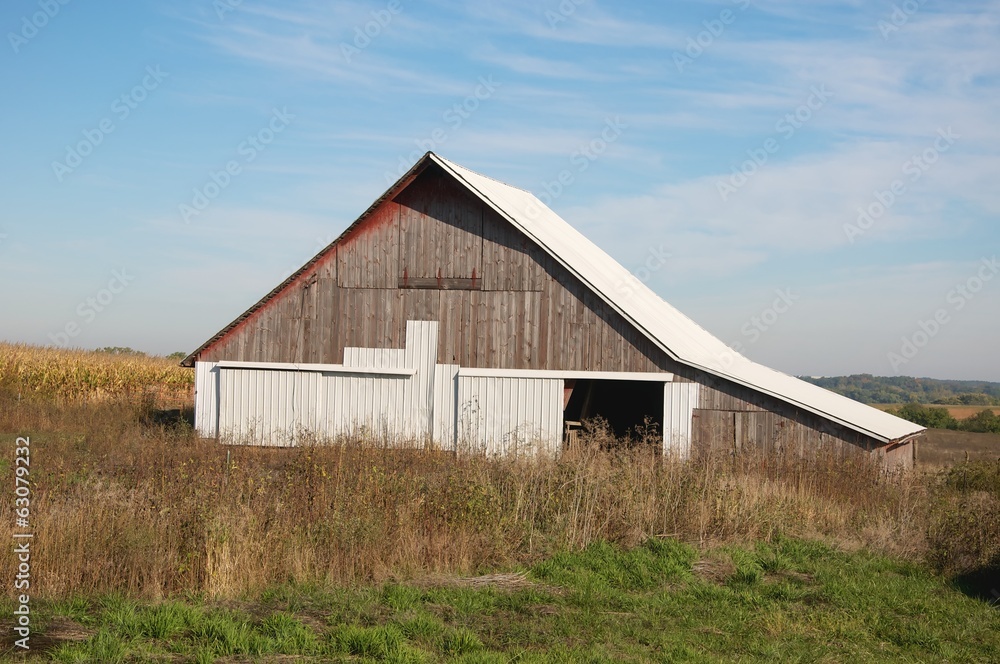 Obraz premium Old wood Barn with Metal Roof next to a Corn Field