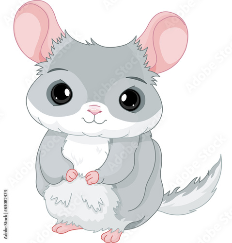 Chinchilla