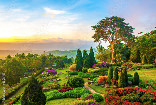 Beautiful garden of colorful flowers on hill #63084671