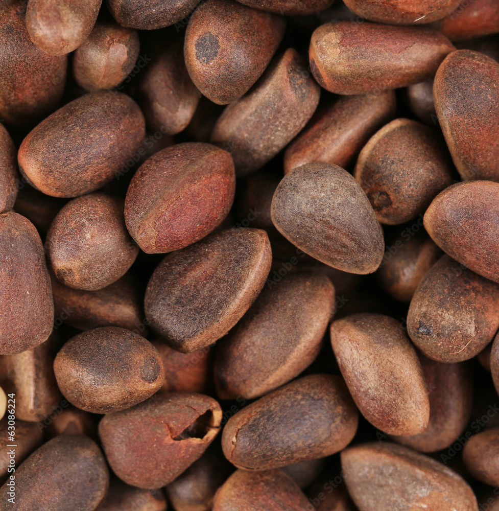 Bunch of pine nuts. Bunch of pine nuts.