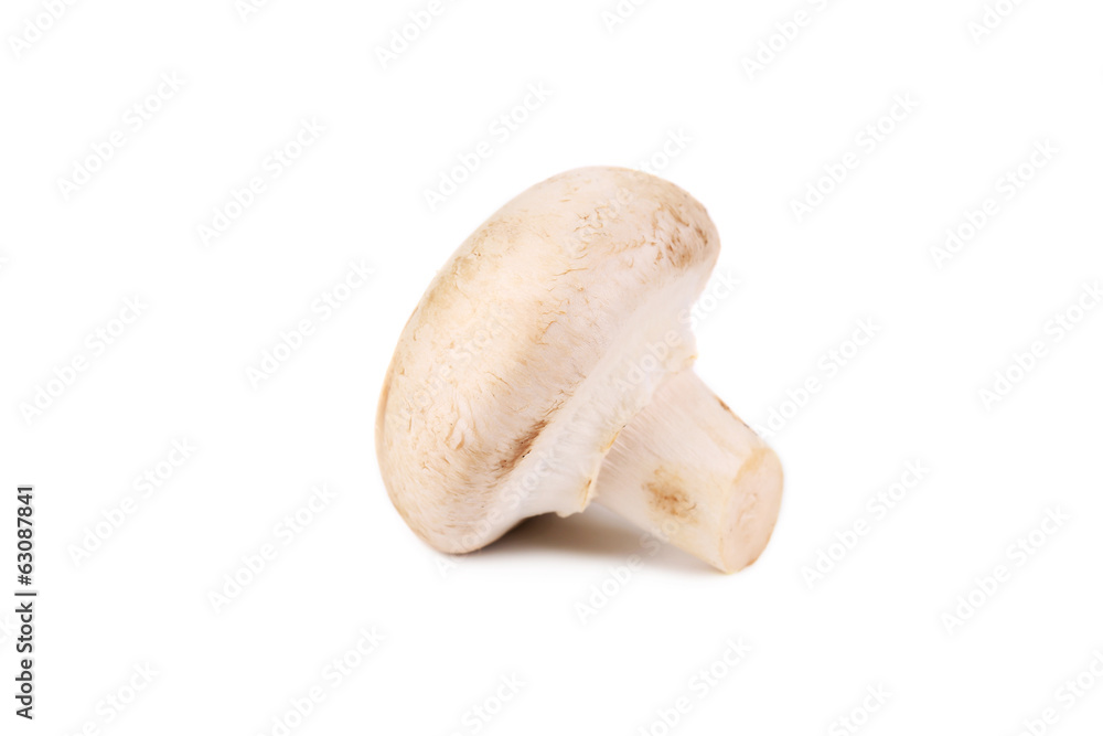 Fototapeta premium White mushroom close up.