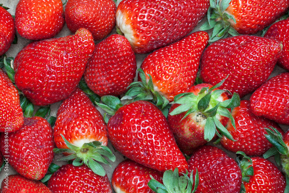 Fraises rangées en caissette Fraises rangées en caissette