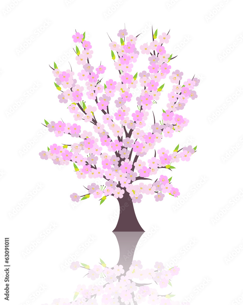 Spring cherry tree blossom vector