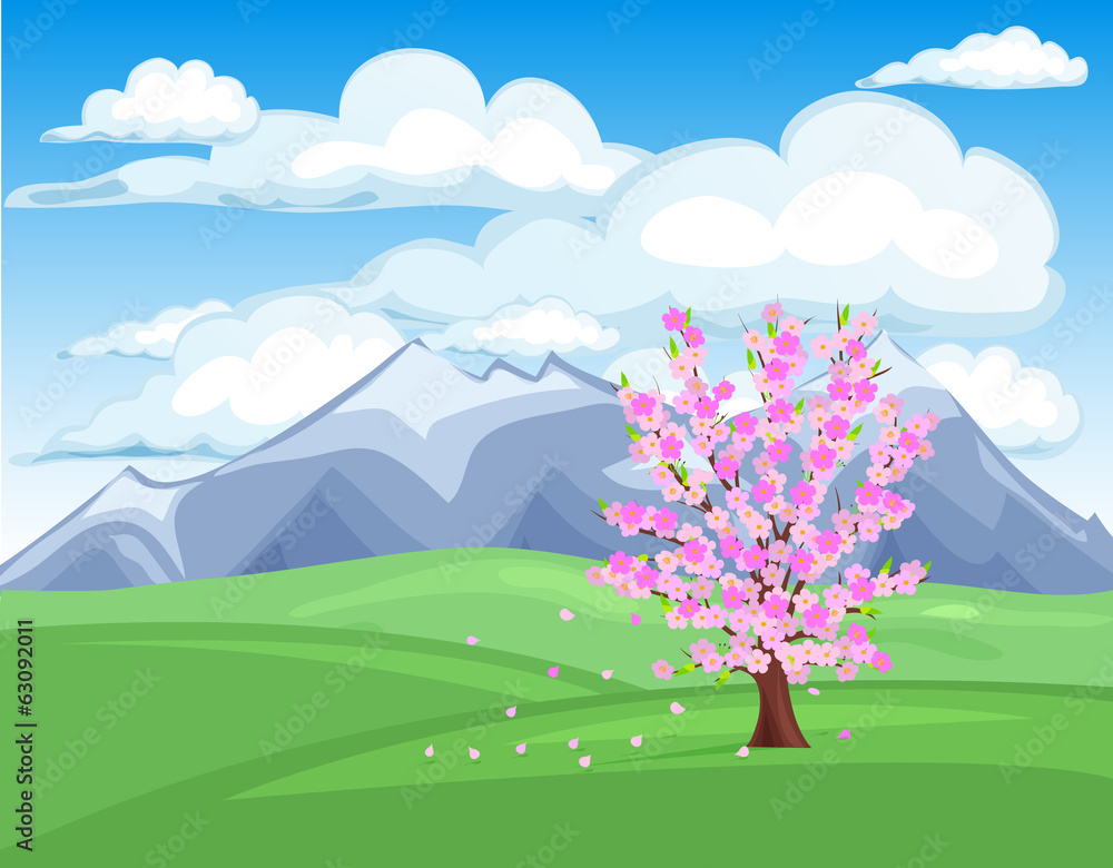 Fototapeta premium Spring Cherry tree blossom vector