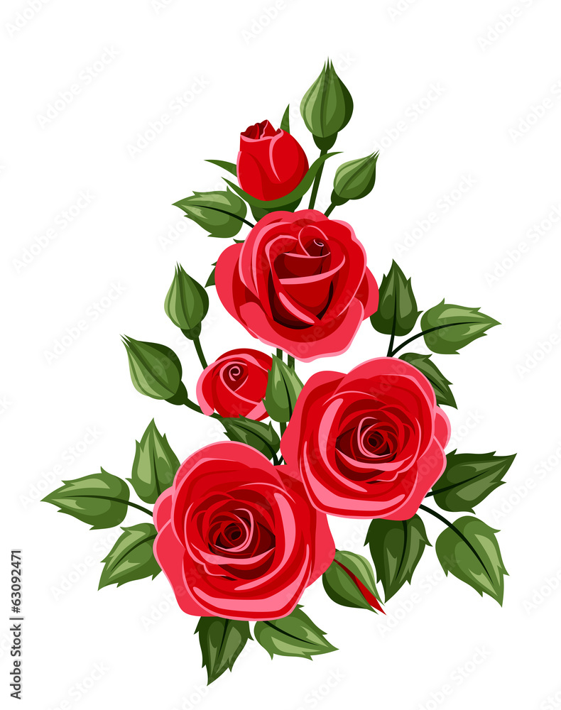 Fototapeta premium Branch of red roses. Vector illustration.