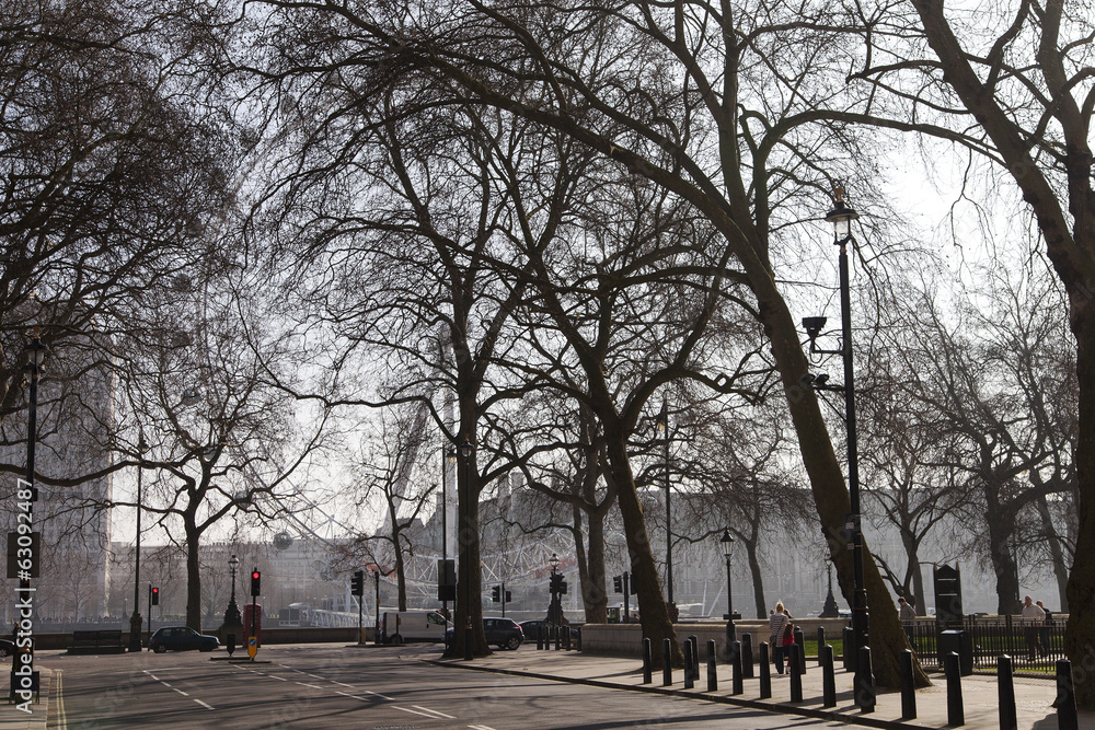 Spring in trees. Spring in trees.