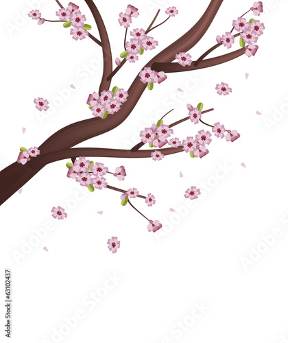 Sakura Tree