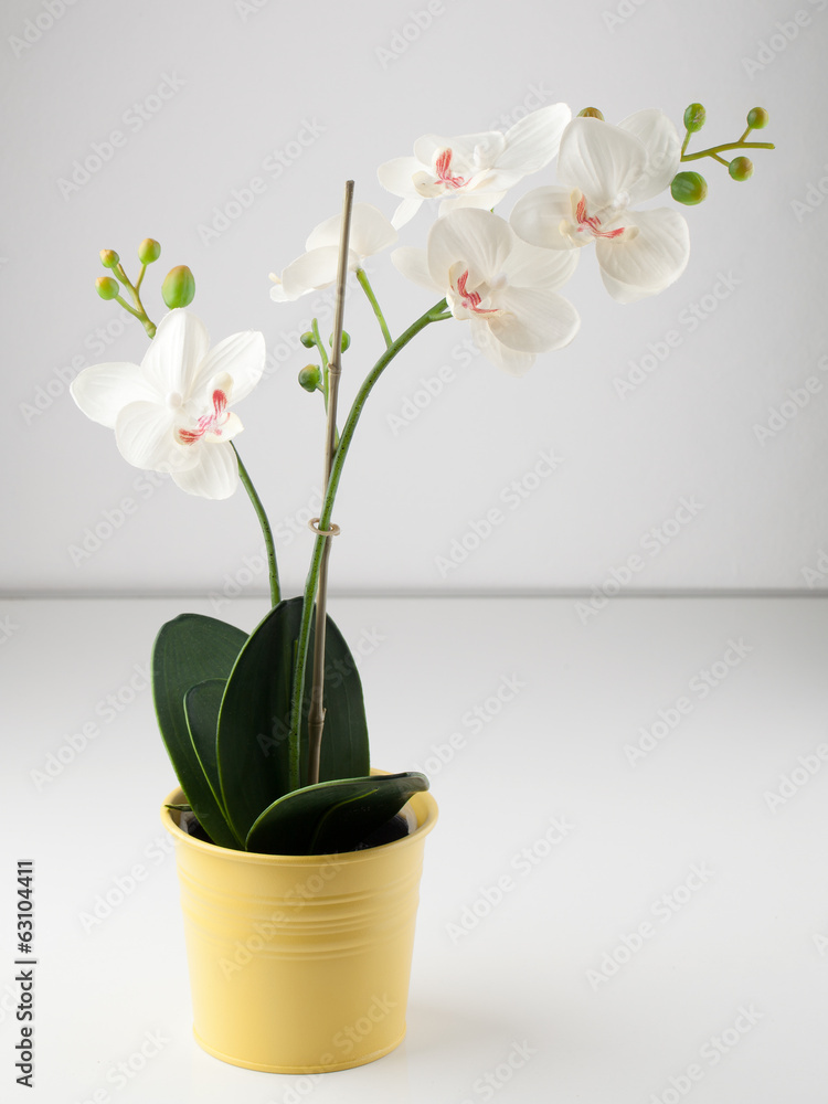 Naklejka premium Artificial orchid flower in yellow pot
