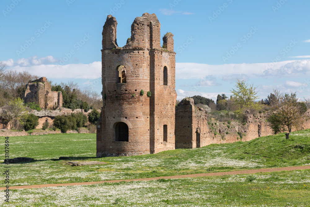 Ruins of the Circus of Maxentius in Rome