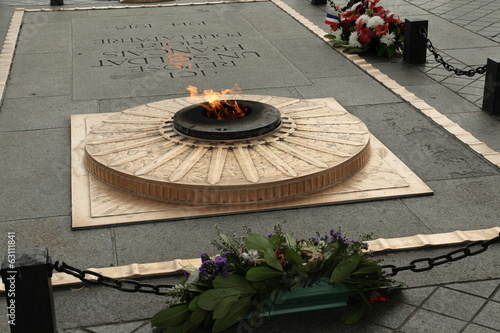 Flamme du soldat inconnu,Paris photo