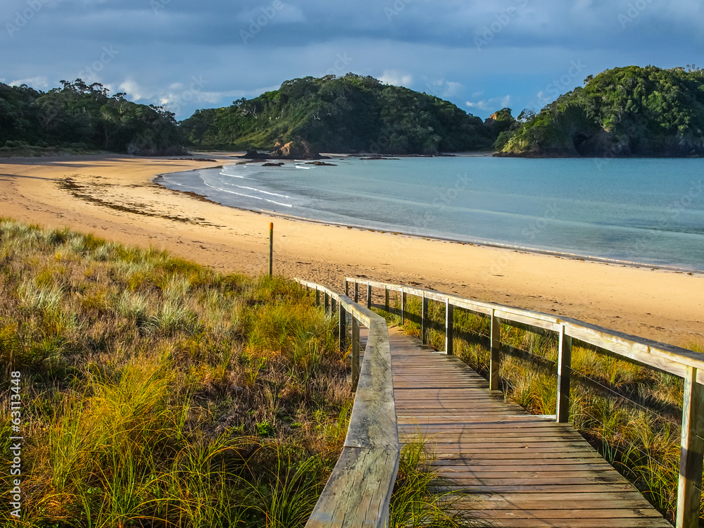 Entrance to a Deserted Beach in Northland, New Zealand