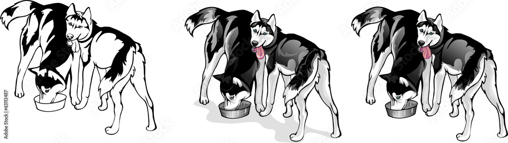 two dogs eat from a bowl