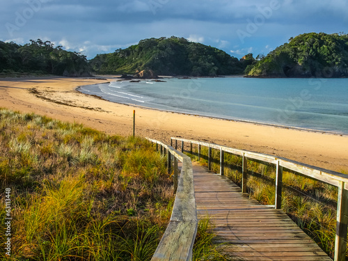 Entrance to a Deserted Beach in Northland  New Zealand