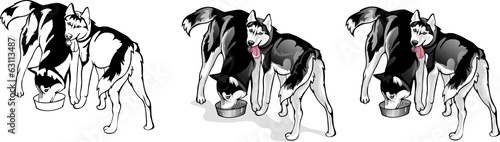two dogs eat from a bowl