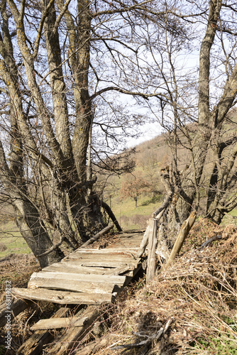 Fototapeta Naklejka Na Ścianę i Meble -  wooden bridge