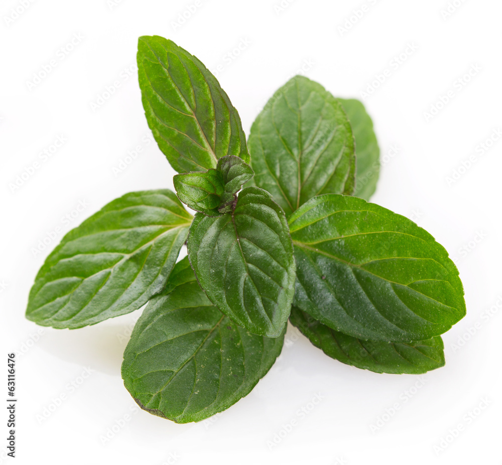 Fresh mint Fresh mint