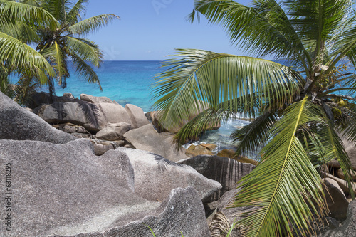 Granitfelsen und Kokospalmen bei Anse Patates auf La Digue photo