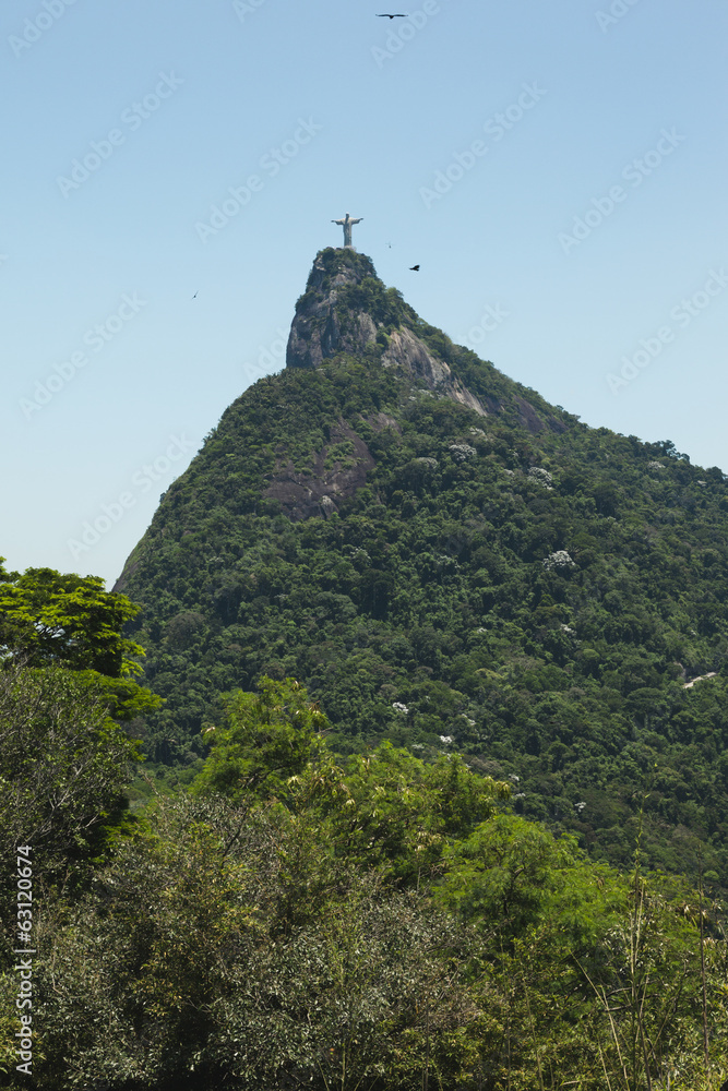 Christ the Redeemer statue atop Tijuca Forest Christ the Redeemer statue atop Tijuca Forest