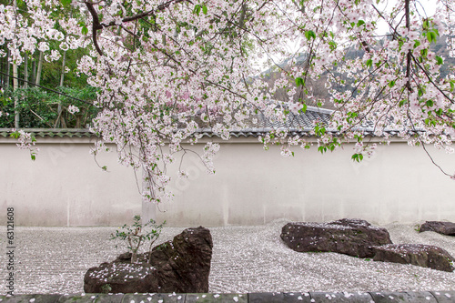 Zen garden Japanese style decorates by pink cherry blossoms