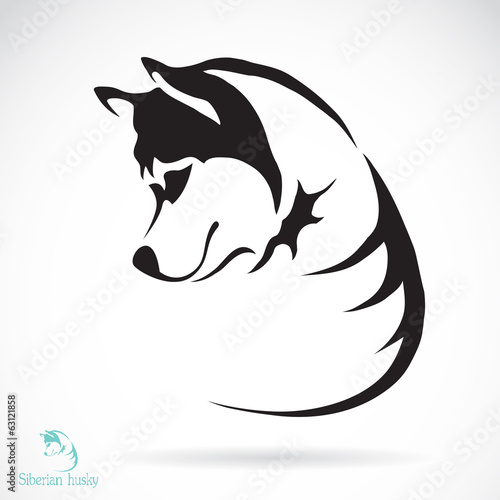 Vector image of a dog siberian husky