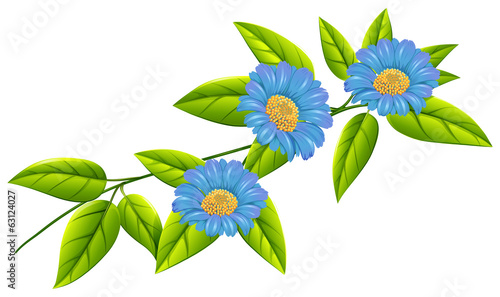Blue flowers with green leaves