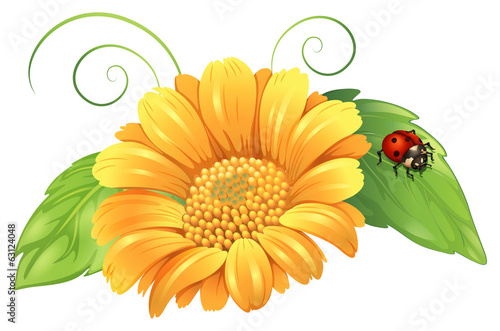 A yellow flower with leaves and a bug